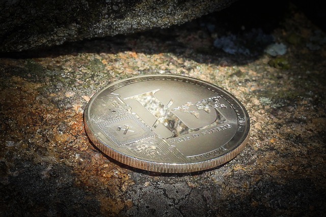Crypto Coin on a Rock