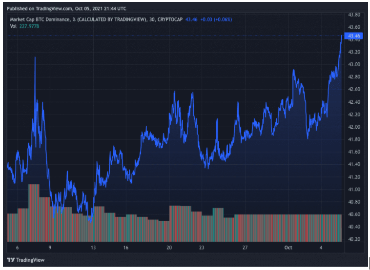 tradingview