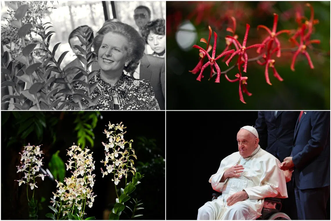 Orchid diplomacy is typically reserved for heads of state or government, or royalty today.