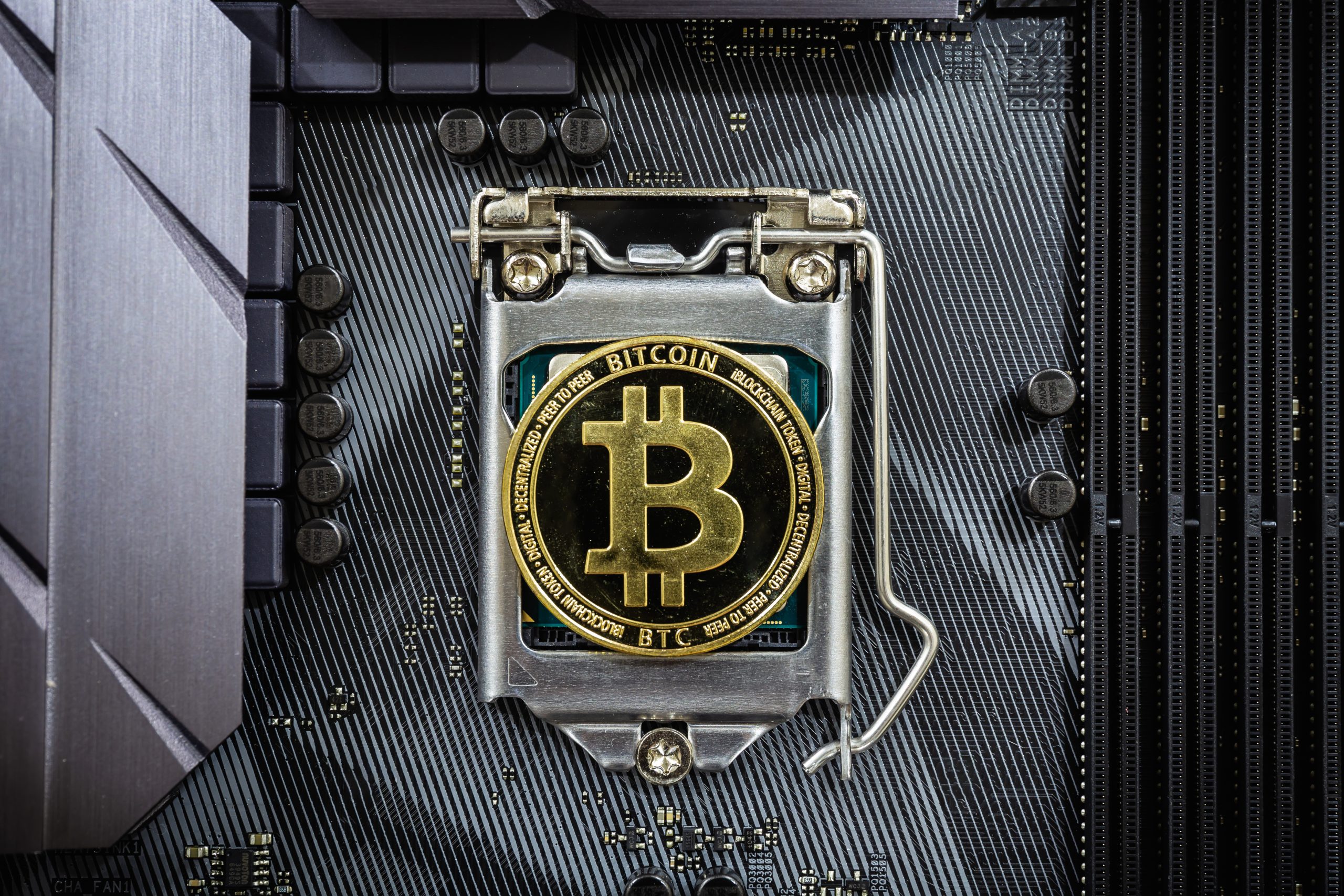 This Could Be the Best Cryptocurrency to Buy Now and Hold Forever