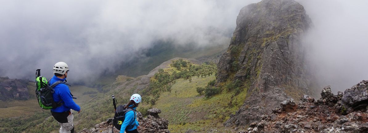 Analysts Have Been Trimming Their KMD Brands Limited (NZSE:KMD) Price Target After Its Latest Report